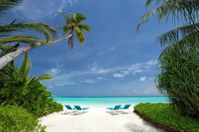 Tailor Made Holidays & Bespoke Packages for Kandima Maldives